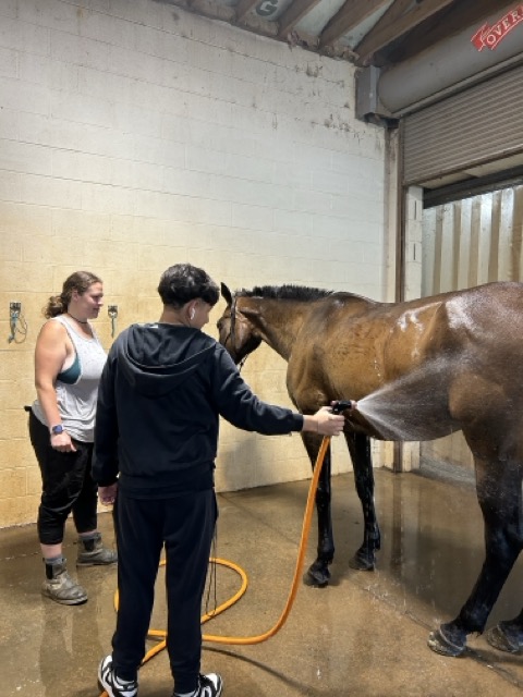 A student washing a horse