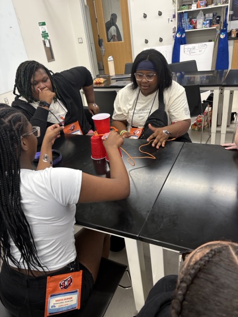 Students playing a game in a laboratory
