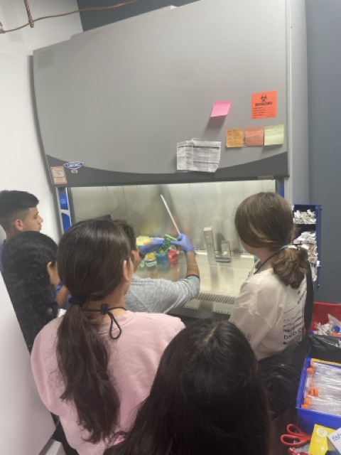 Students observing a scientist in a lab