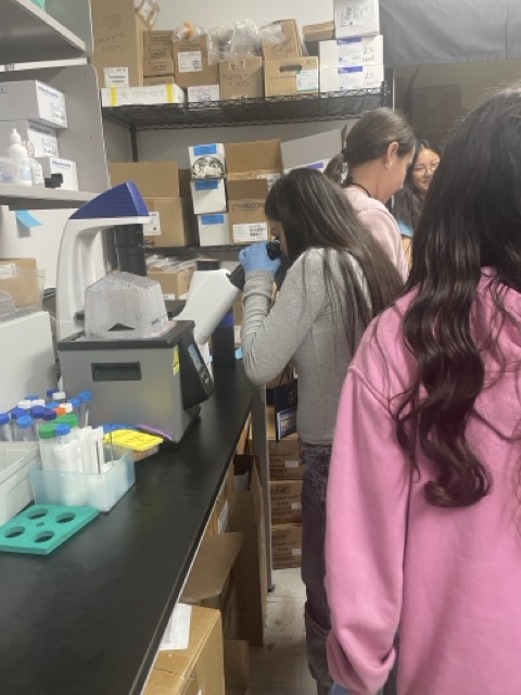 A student looking through a microscope