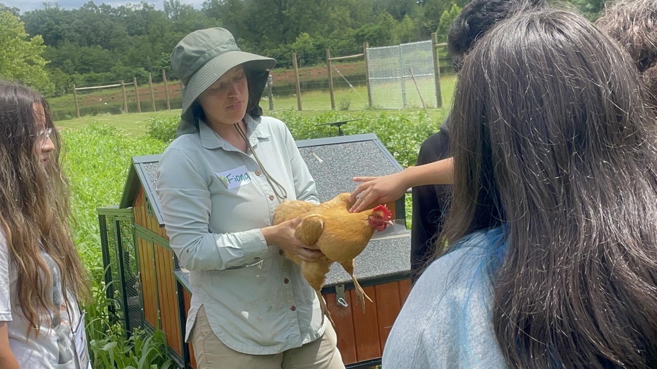 Students petting a chicken