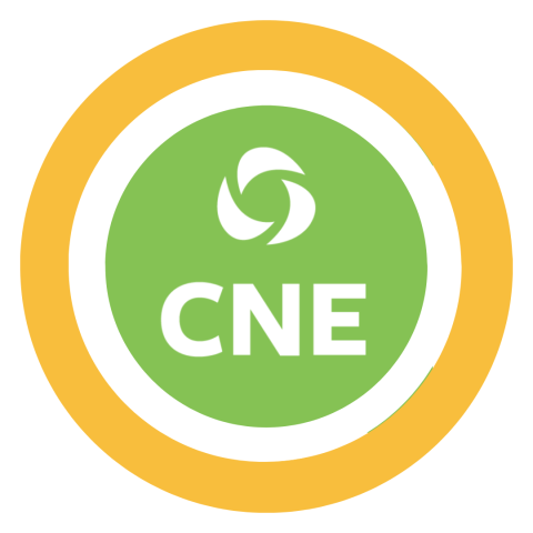 Logo for the Center for Nonprofit Excellence.